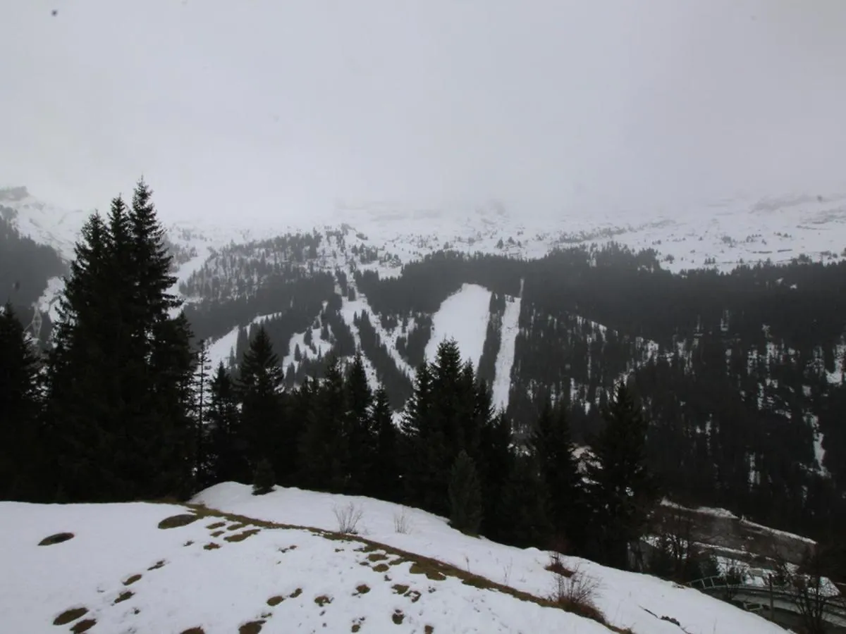 Studio Cabine Renove, 4 Couchages, A 400M Des Pistes - Flaine Foret - Fr-1-687-1 Apartment Araches-la-Frasse
